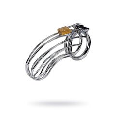 Пояс верности мужской TOYFA Metal, серебряный
